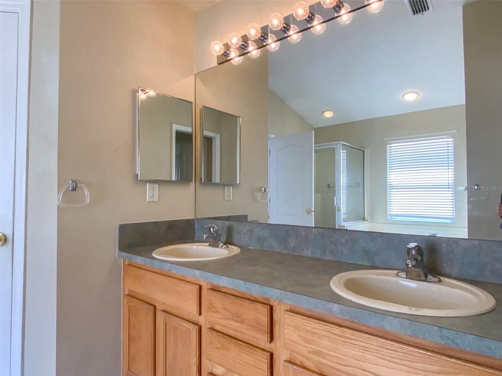 2838 BILLINGHAM DR, LAND O LAKES, FL, 34639