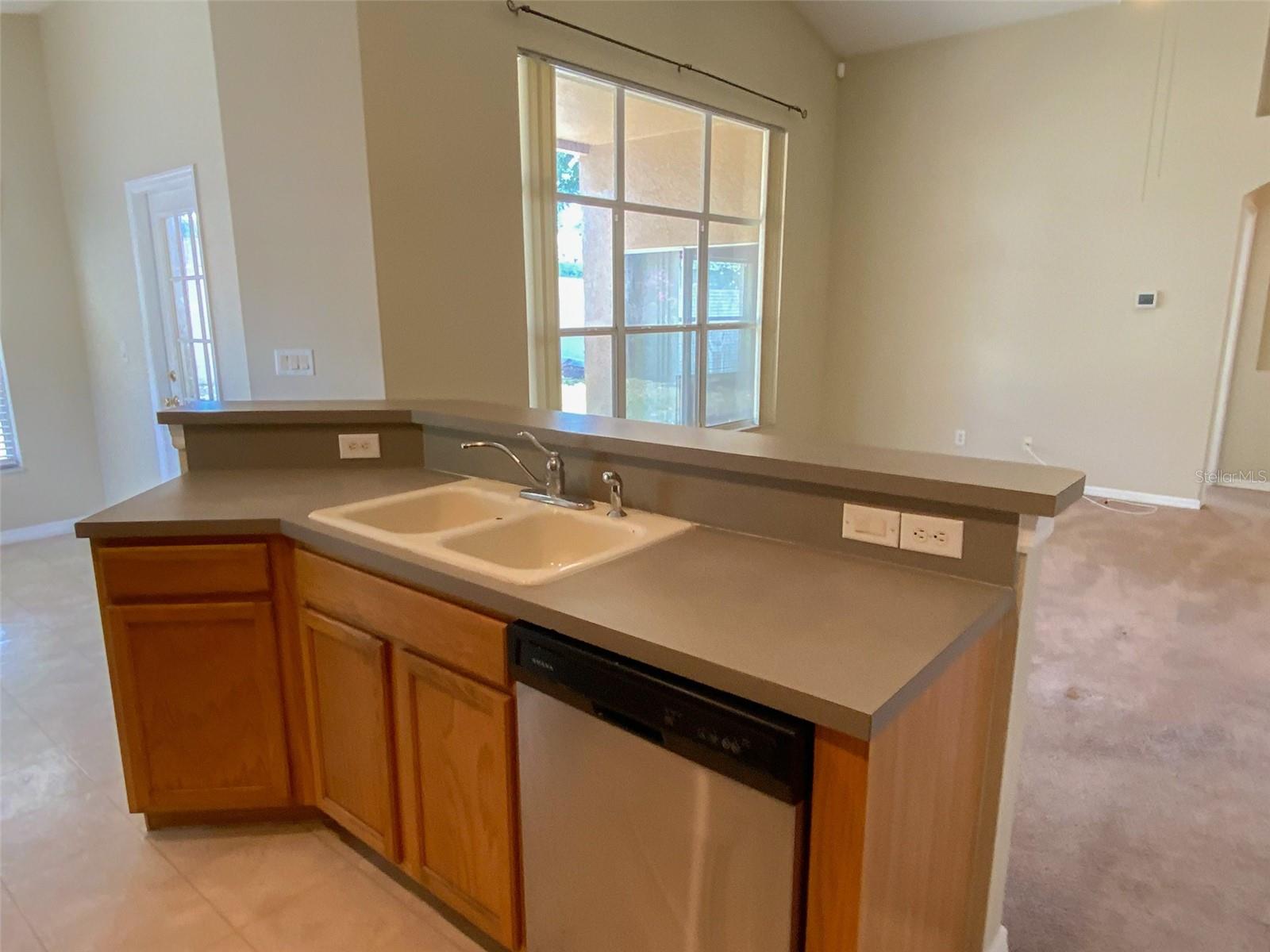 2838 BILLINGHAM DR, LAND O LAKES, FL, 34639