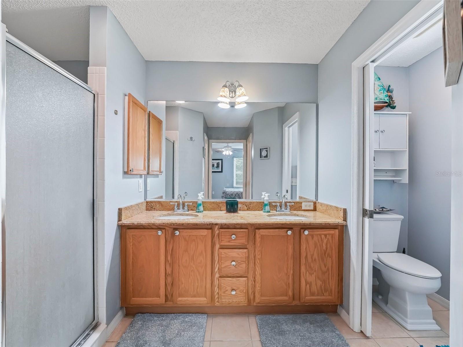 9621 SE 168TH MAPLESONG LN, THE VILLAGES, FL, 32162