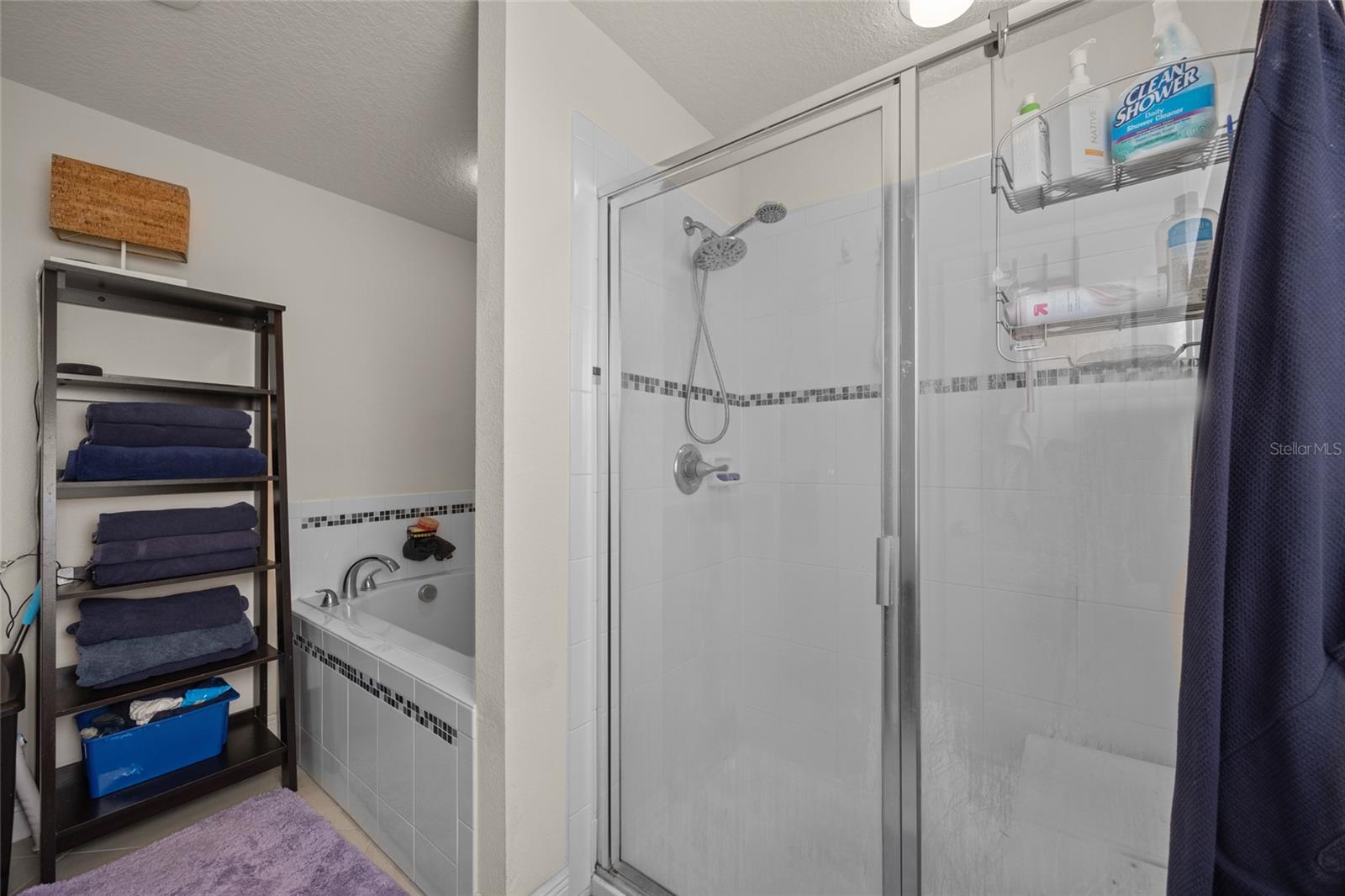 814 MAPLEBROOK LOOP, APOPKA, FL, 32703