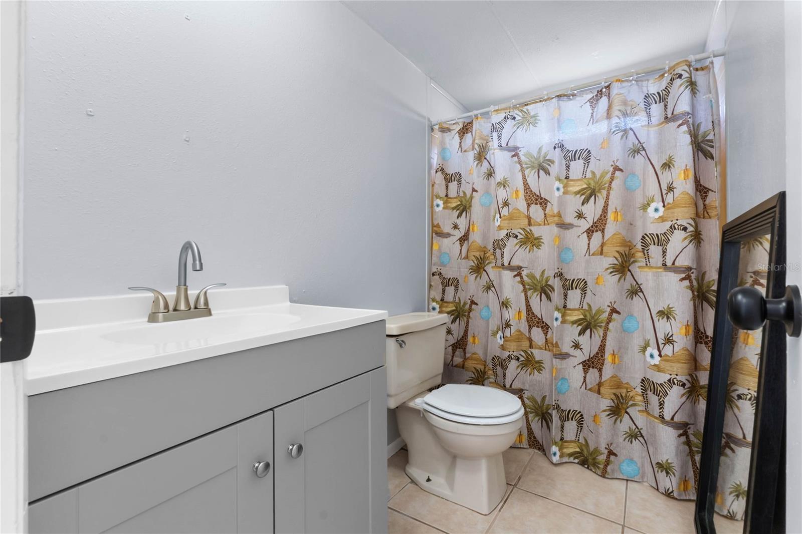 16941 BAY AVE, MONTVERDE, FL, 34756