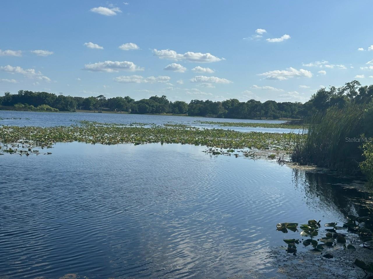 91 N TRIPLET LAKE DR, CASSELBERRY, FL, 32707