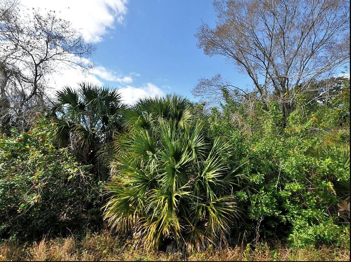 GRENARD CIR, NORTH PORT, FL, 34288