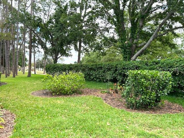 11752 WAYSIDE WILLOW CT, HUDSON, FL, 34667