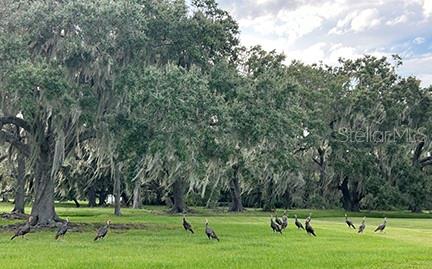 3650 LAKE TOHOPEKALIGA RD, ST CLOUD, FL, 34772