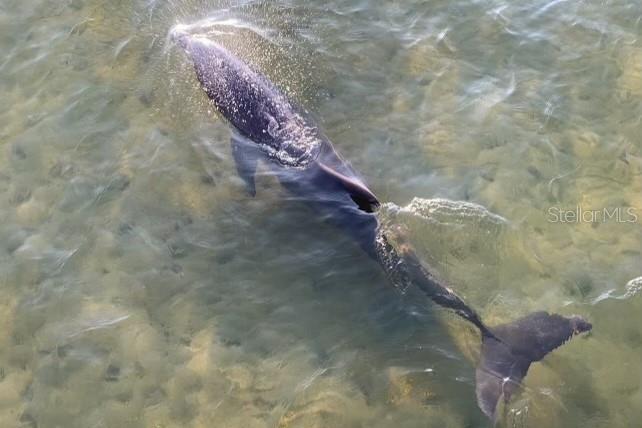 190 E OLMSTEAD DR #C8, TITUSVILLE, FL, 32780