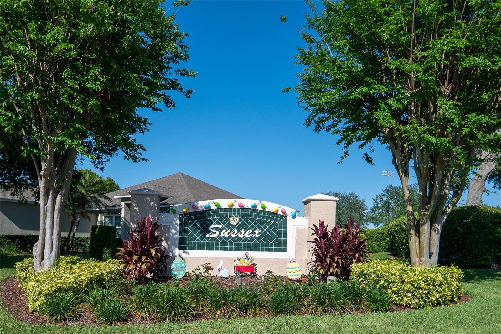 3559 CAPLAND AVE, CLERMONT, FL, 34711