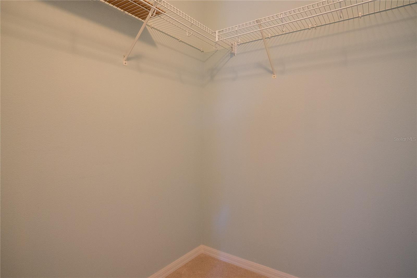 3559 CAPLAND AVE, CLERMONT, FL, 34711