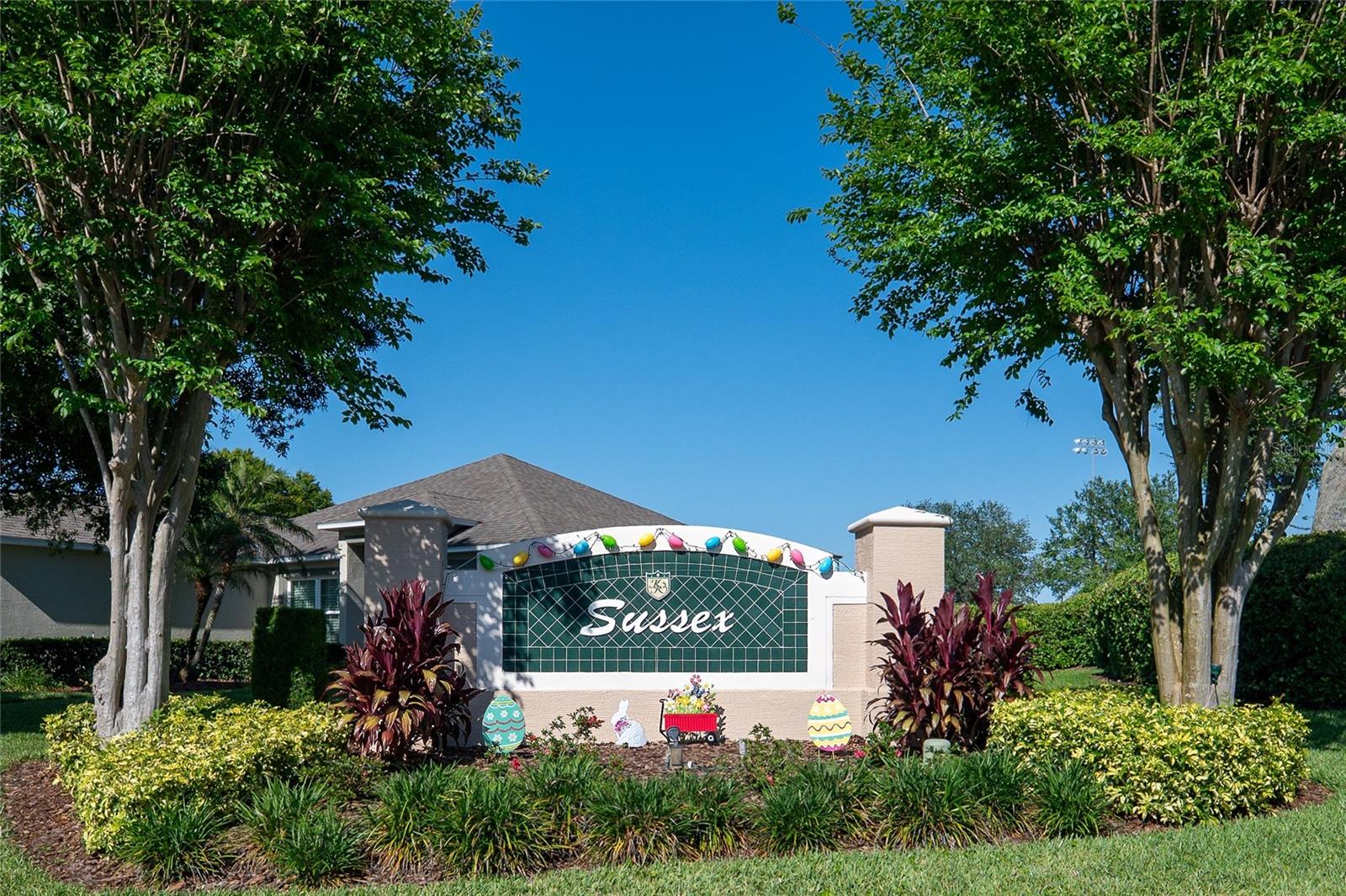 3559 CAPLAND AVE, CLERMONT, FL, 34711