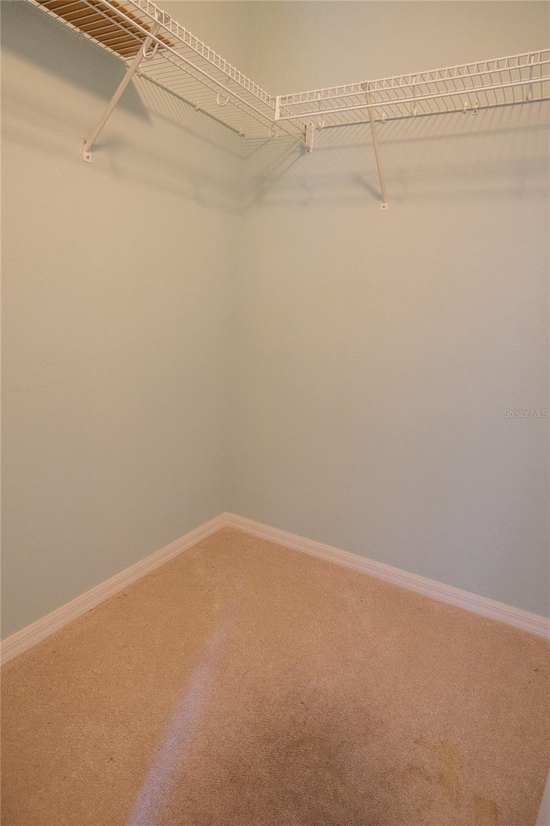 3559 CAPLAND AVE, CLERMONT, FL, 34711