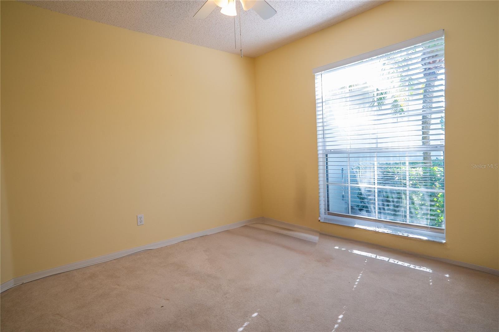 3559 CAPLAND AVE, CLERMONT, FL, 34711