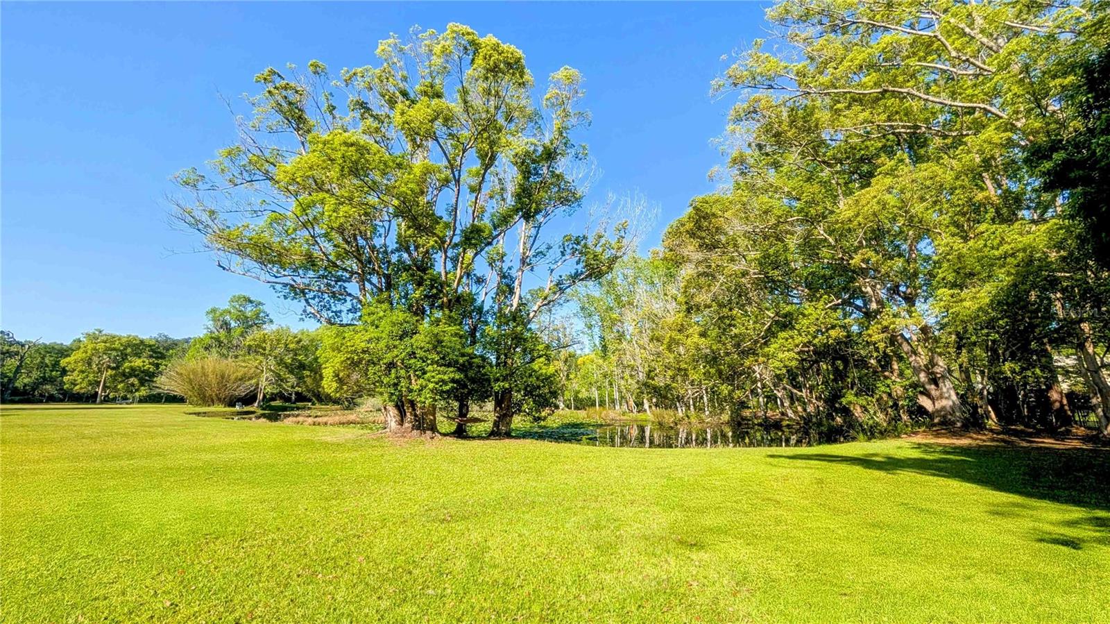 150 LAKE CHARLES RD, DELAND, FL, 32724