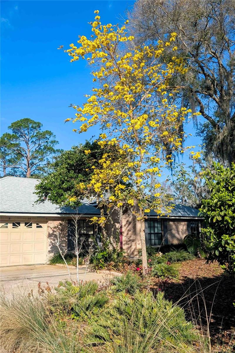 150 LAKE CHARLES RD, DELAND, FL, 32724