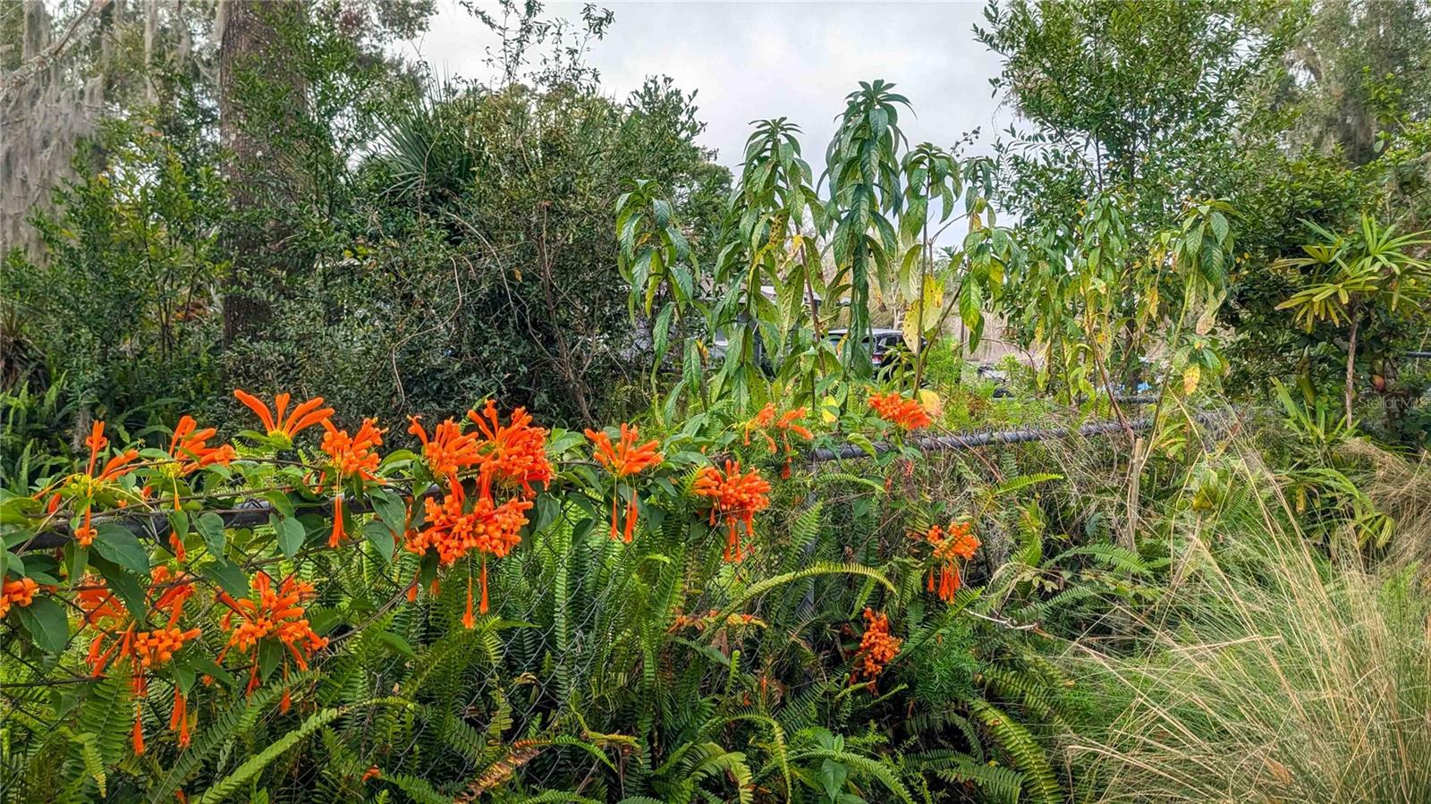 150 LAKE CHARLES RD, DELAND, FL, 32724