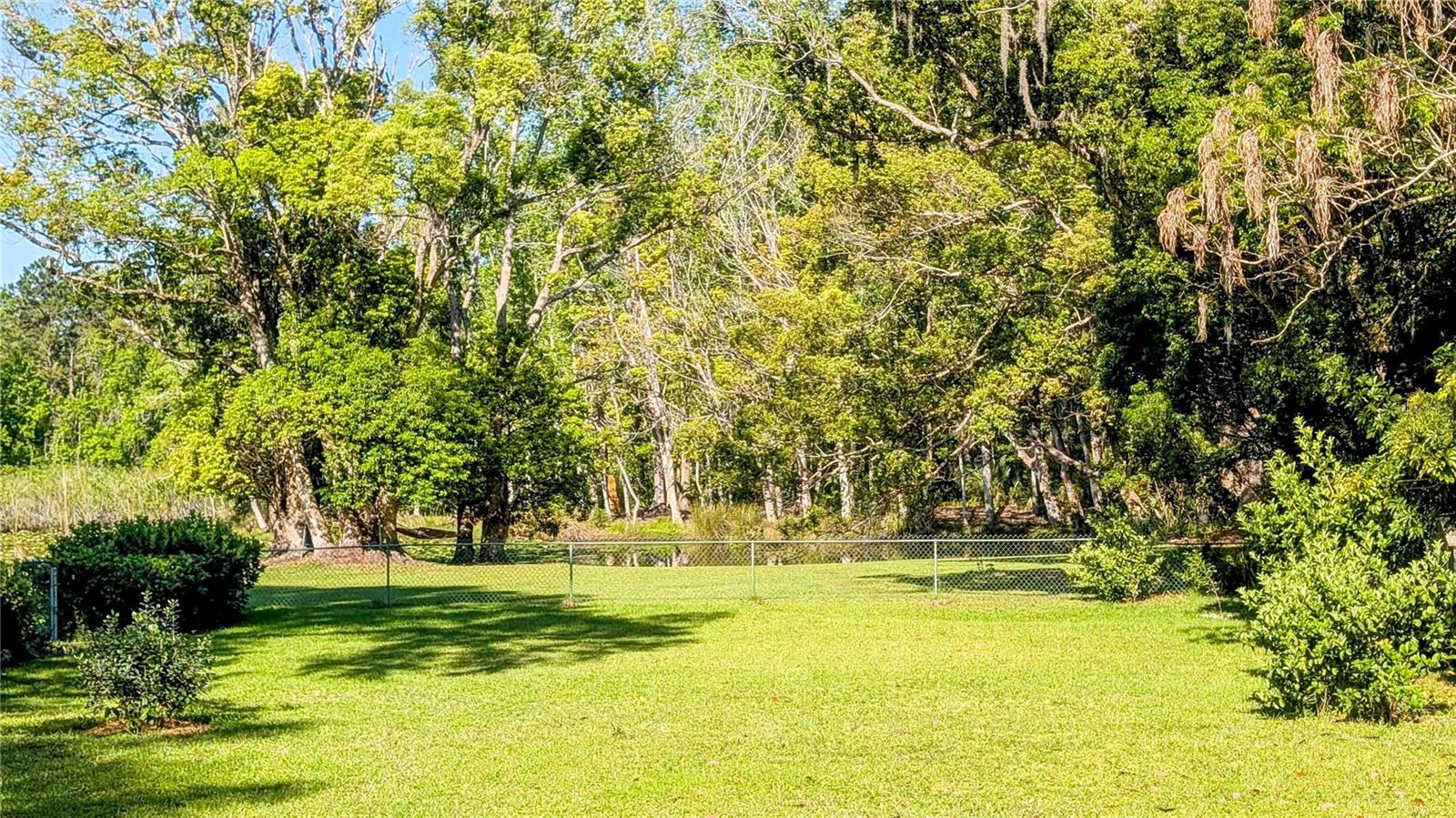 150 LAKE CHARLES RD, DELAND, FL, 32724