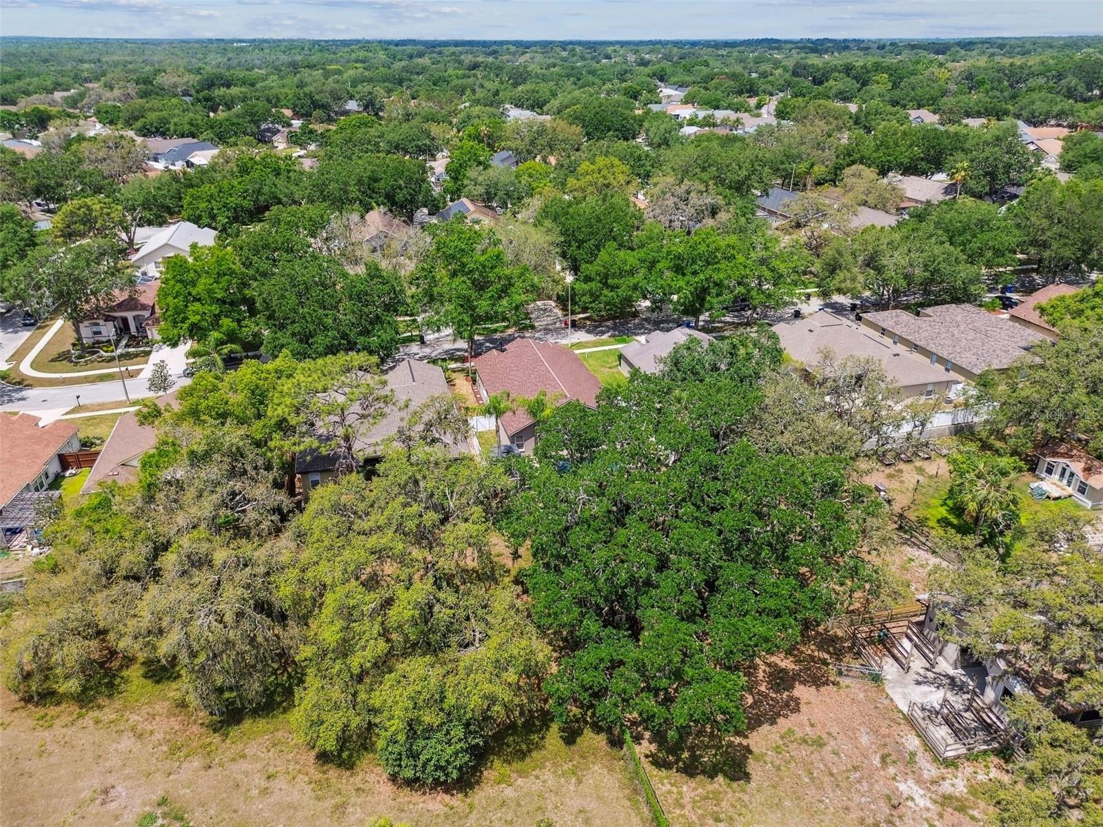 2719 BROOKVILLE DR, VALRICO, FL, 33596