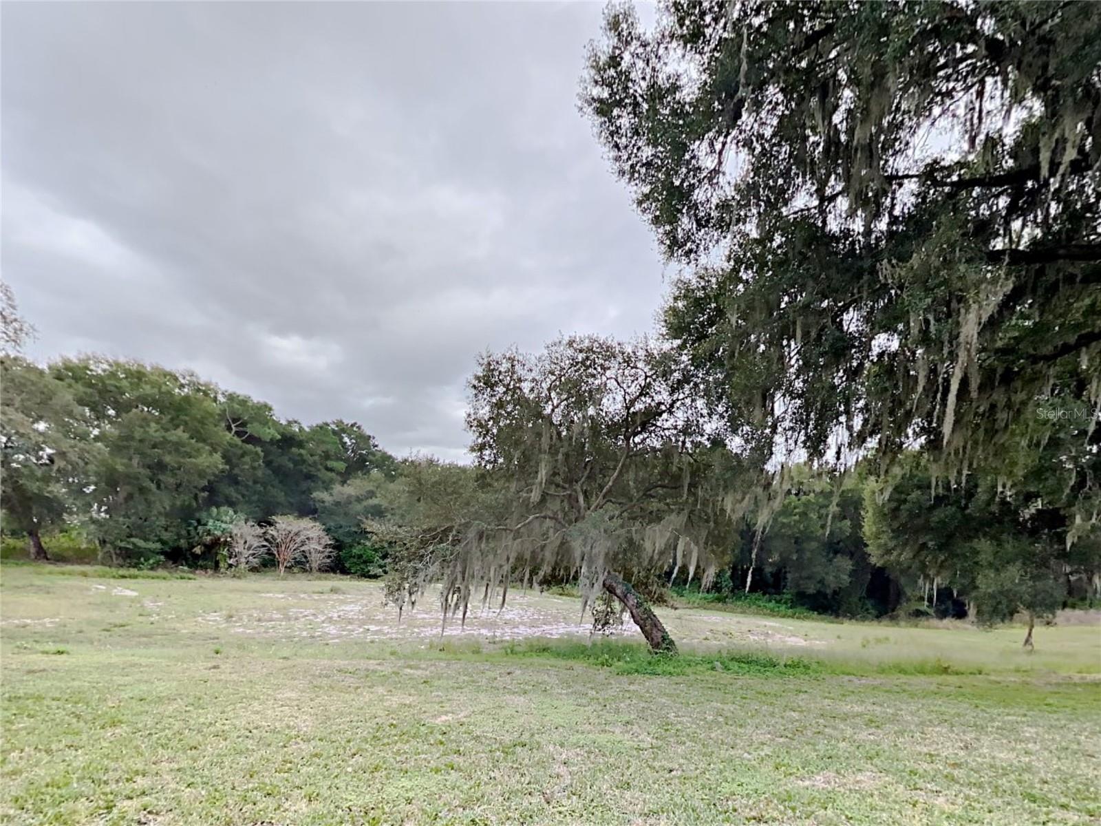 1804 STONEYWOOD WAY, APOPKA, FL, 32712