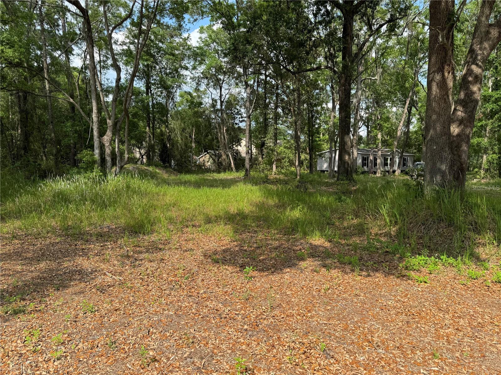 15259 NE 143RD TER, WALDO, FL, 32694