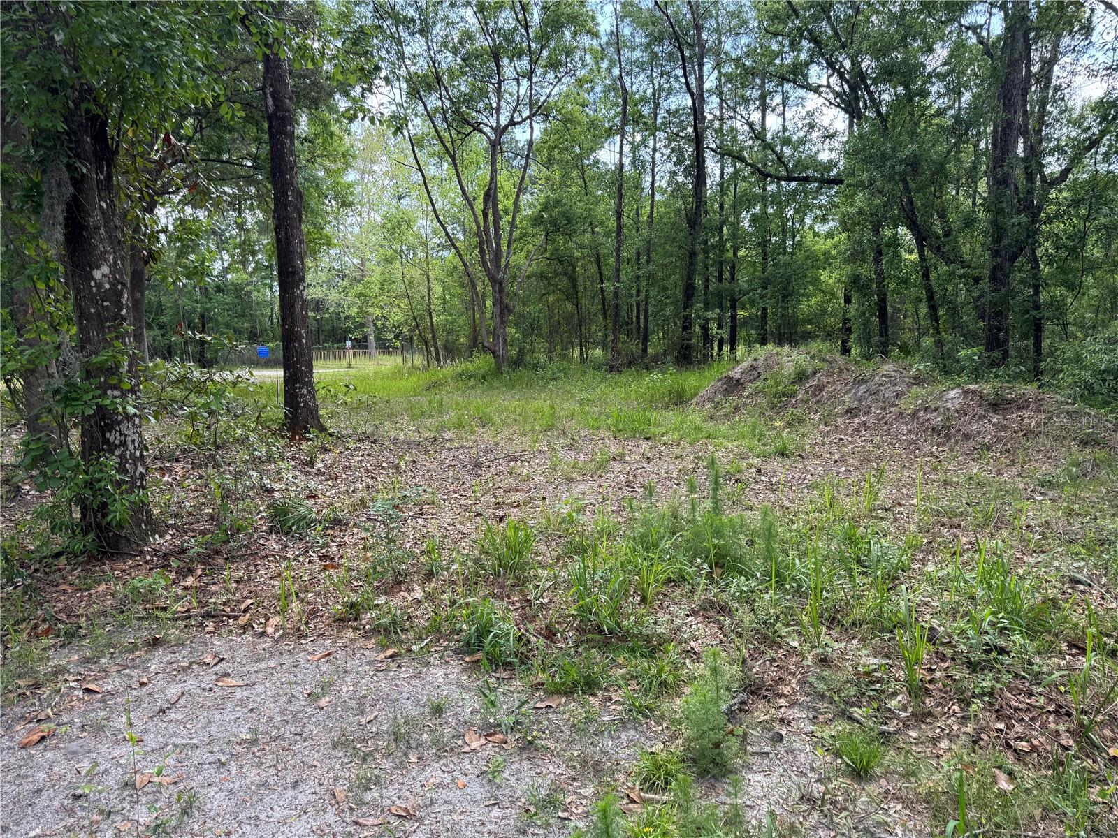 15259 NE 143RD TER, WALDO, FL, 32694