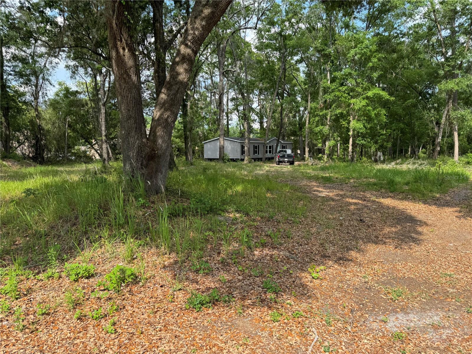 15259 NE 143RD TER, WALDO, FL, 32694