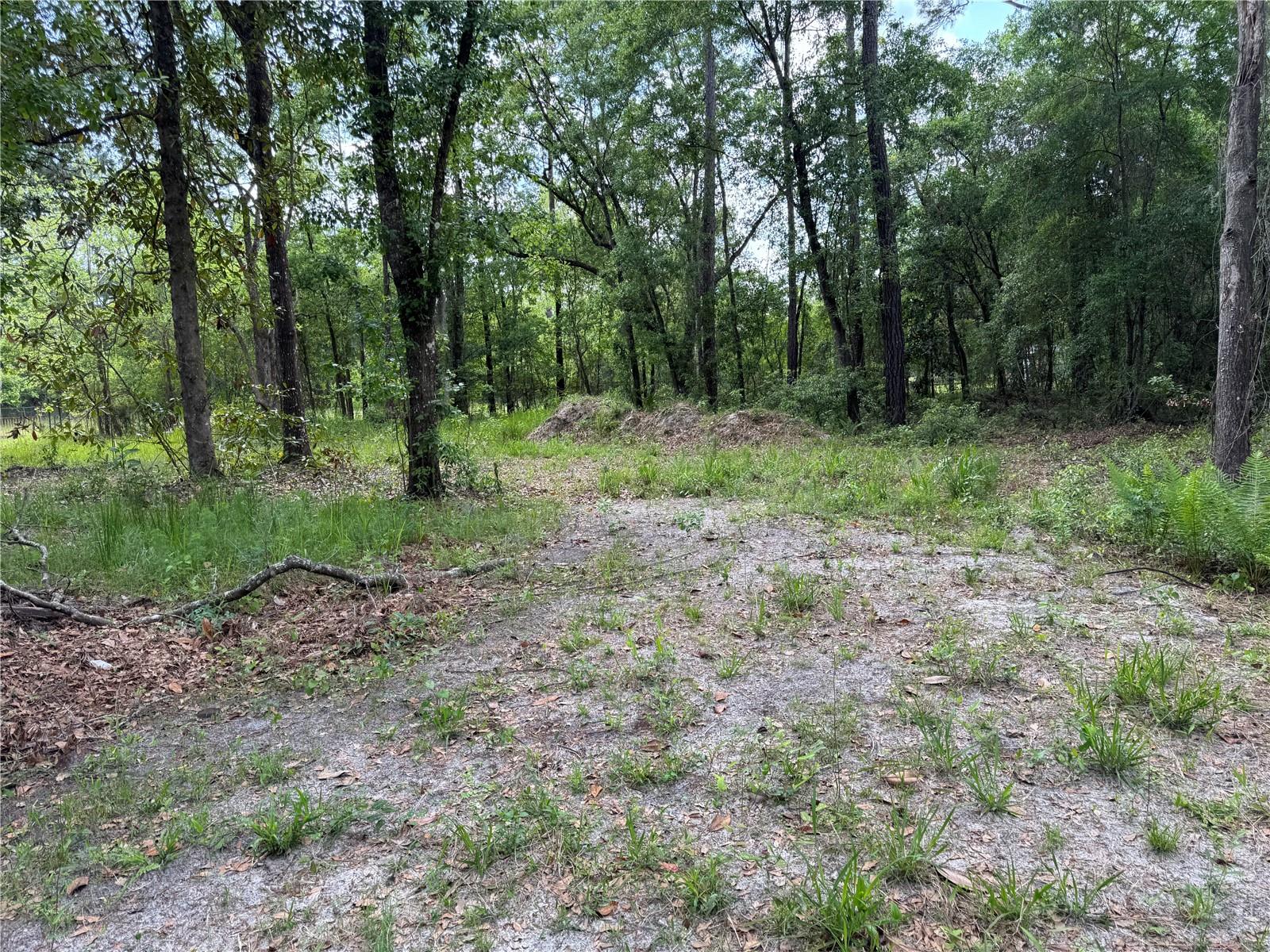 15259 NE 143RD TER, WALDO, FL, 32694