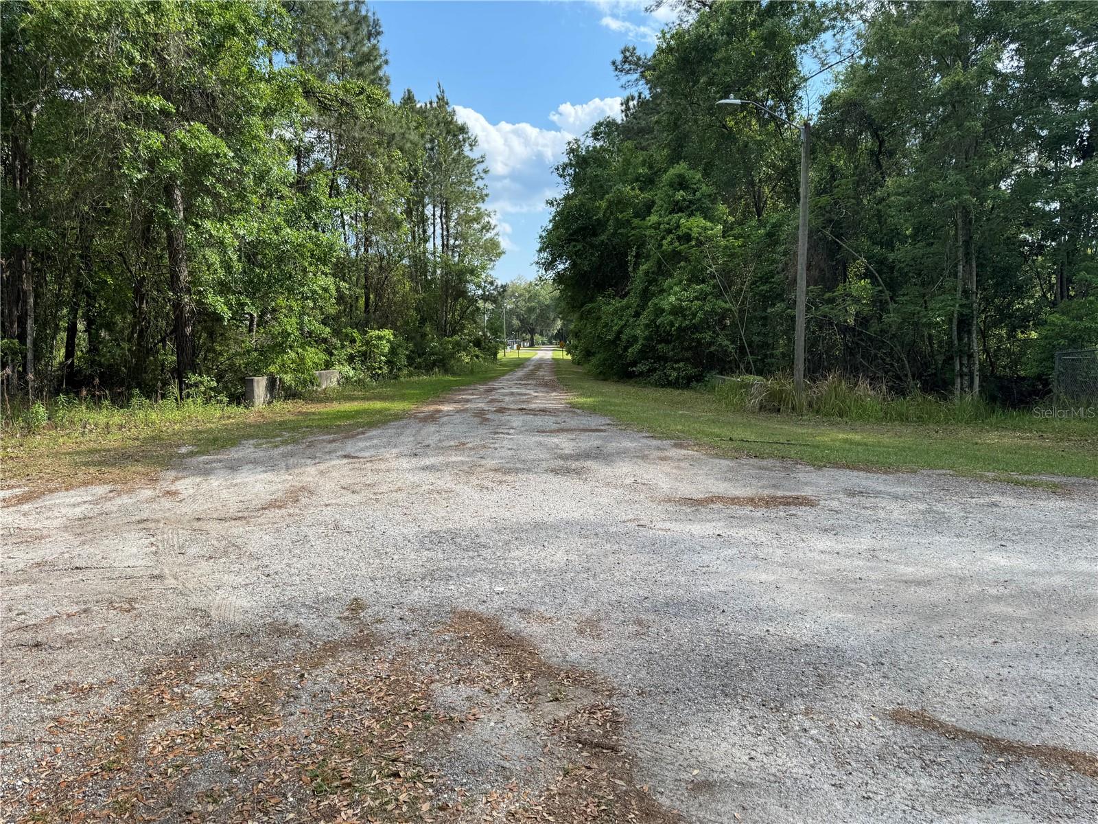 15259 NE 143RD TER, WALDO, FL, 32694