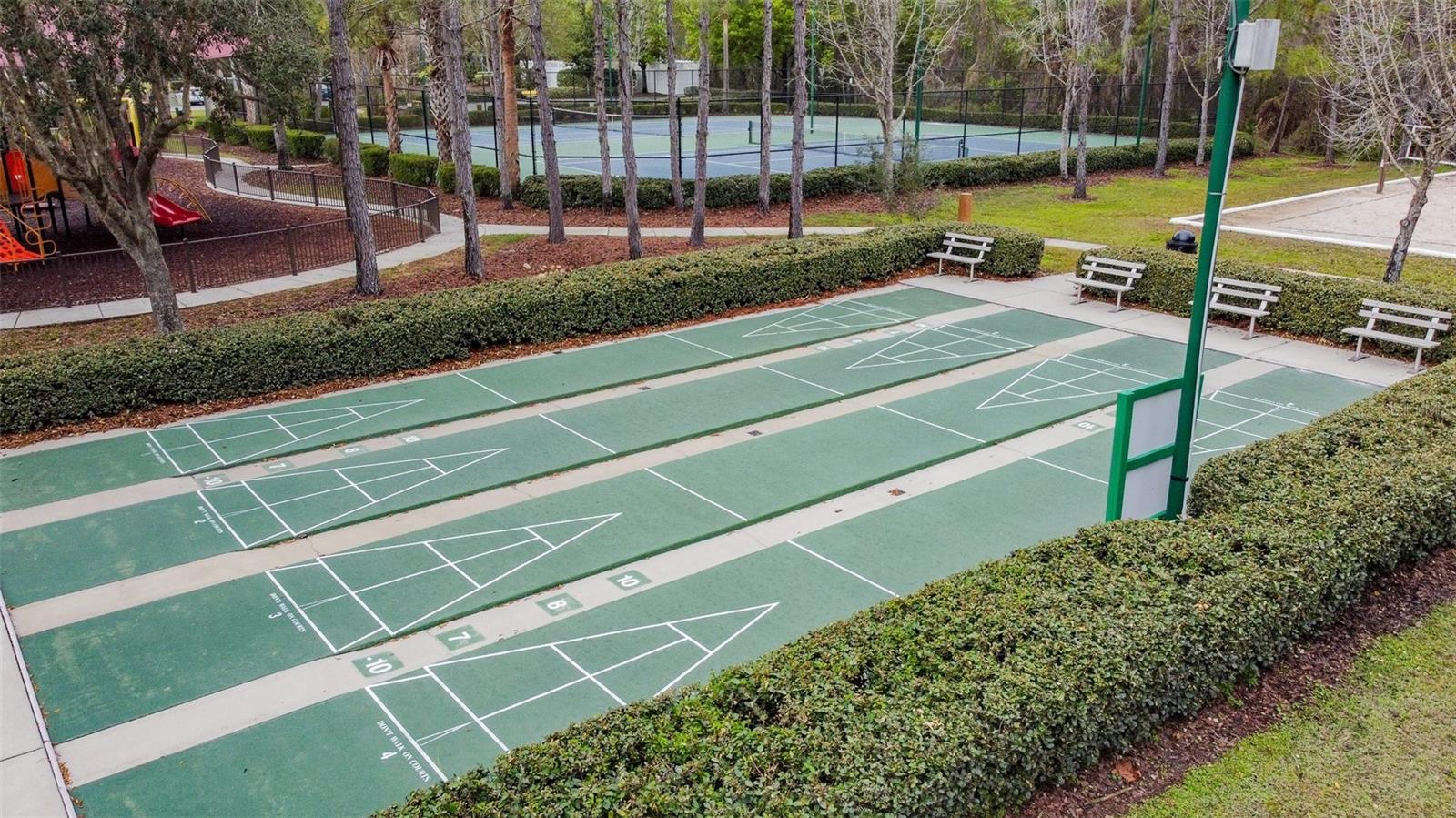 31434 SHAKER CIR, WESLEY CHAPEL, FL, 33543