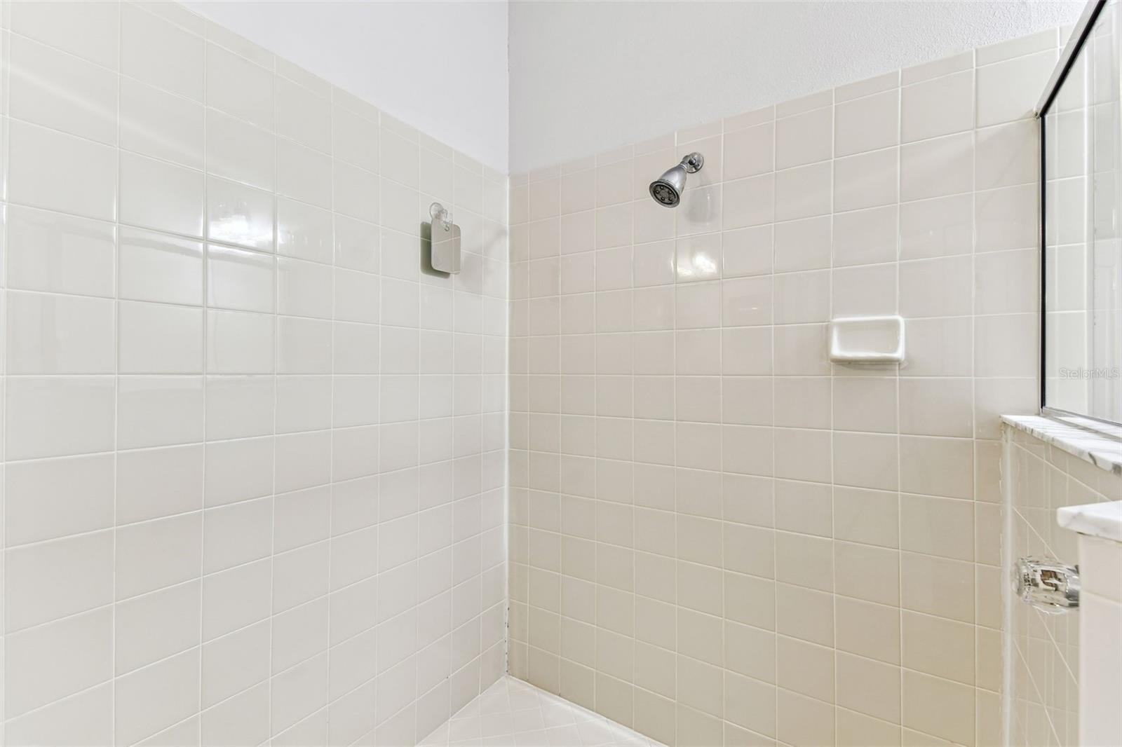 31434 SHAKER CIR, WESLEY CHAPEL, FL, 33543