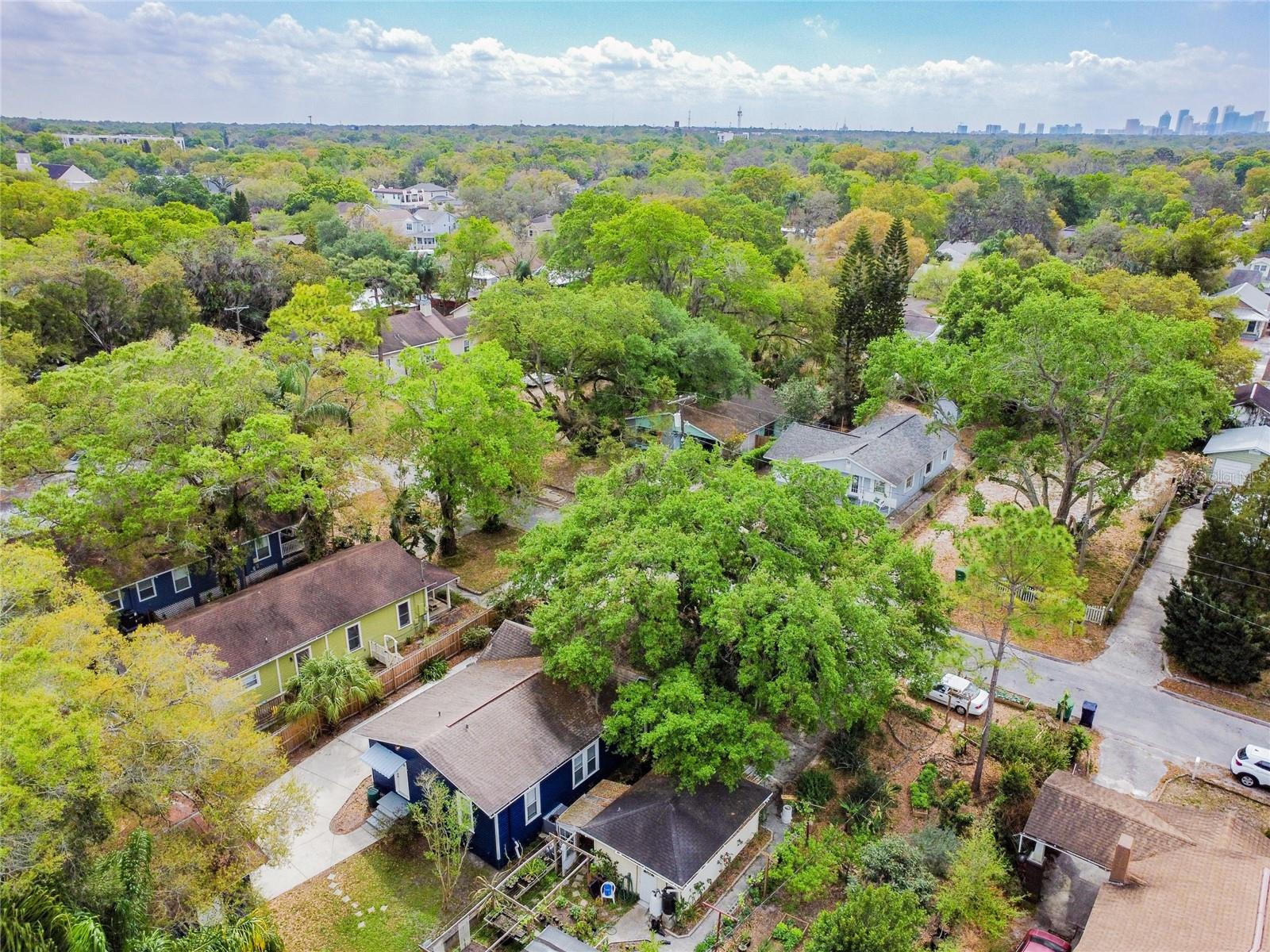 317 W JEAN ST, TAMPA, FL, 33604