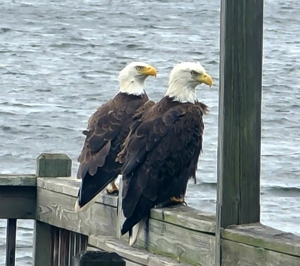 348 GEORGETOWN DR #348, CASSELBERRY, FL, 32707