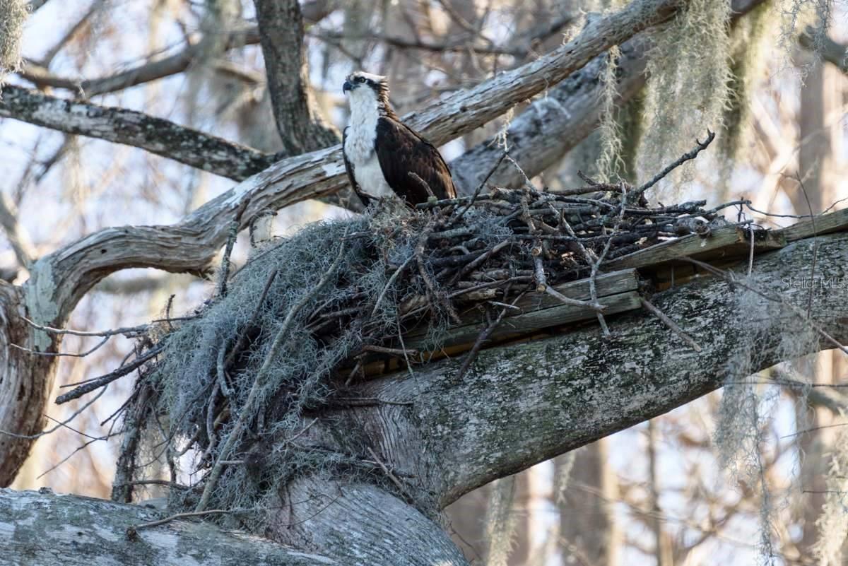 348 GEORGETOWN DR #348, CASSELBERRY, FL, 32707