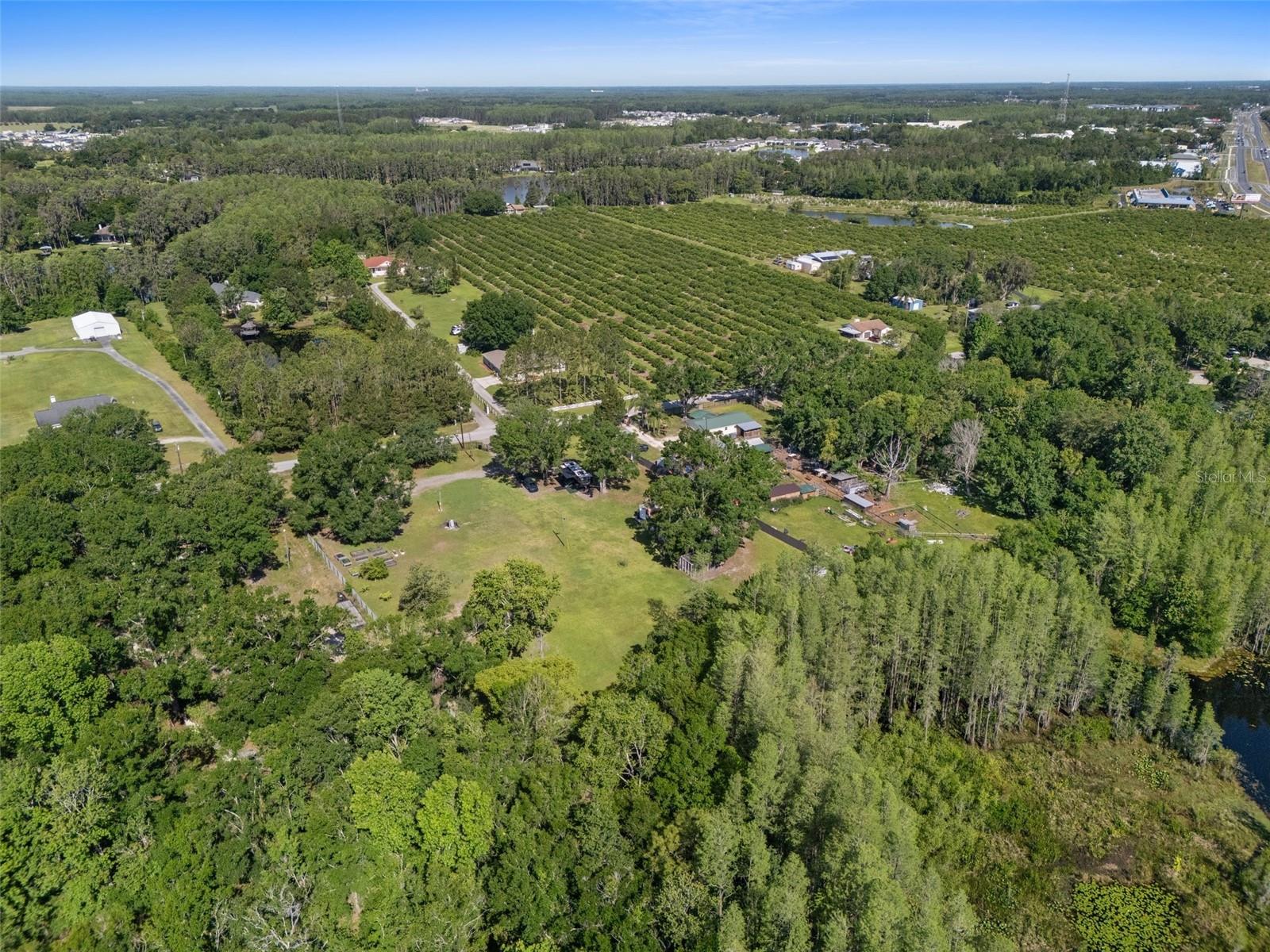 6346 TOWER RD, LAND O LAKES, FL, 34638