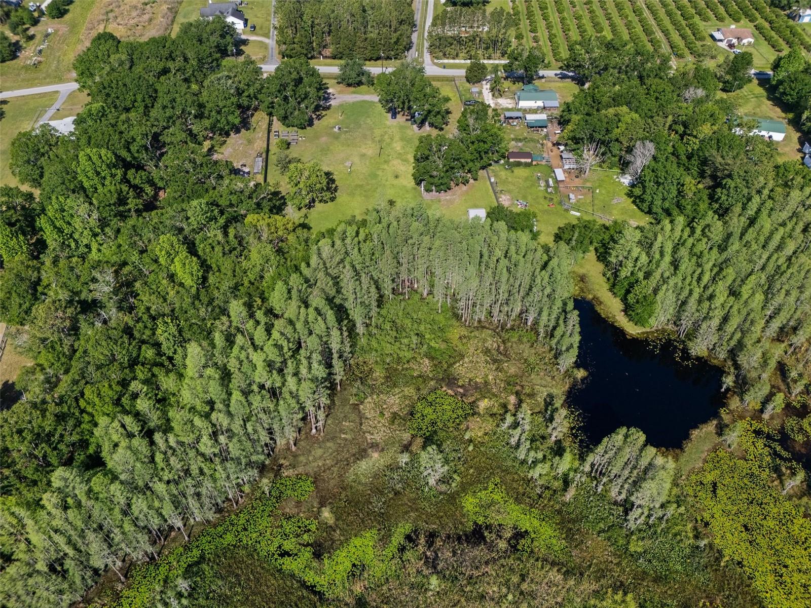 6346 TOWER RD, LAND O LAKES, FL, 34638