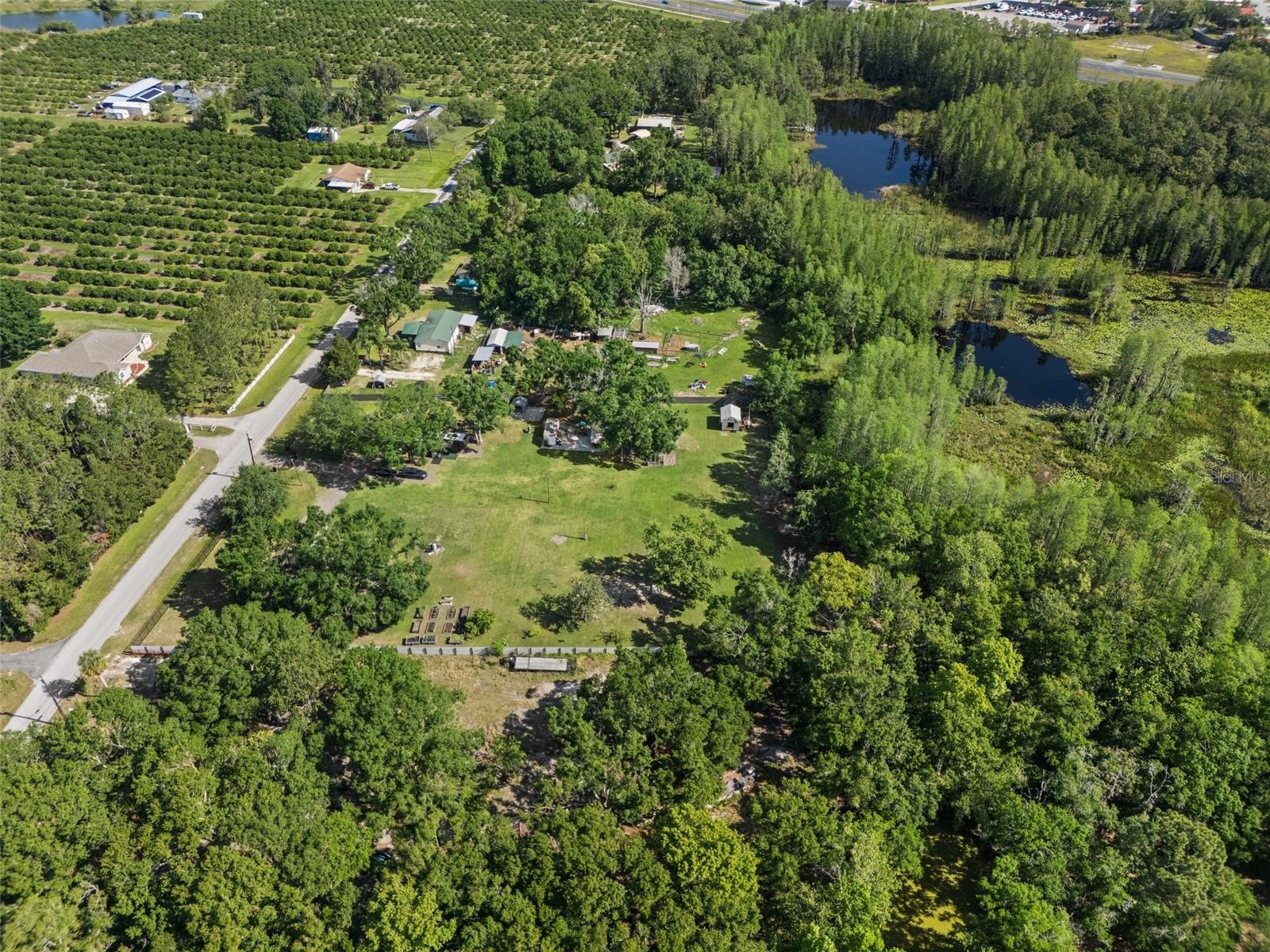 6346 TOWER RD, LAND O LAKES, FL, 34638