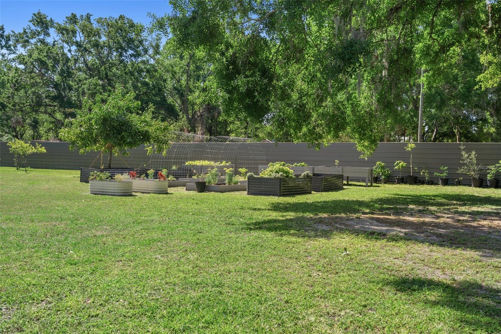 6346 TOWER RD, LAND O LAKES, FL, 34638