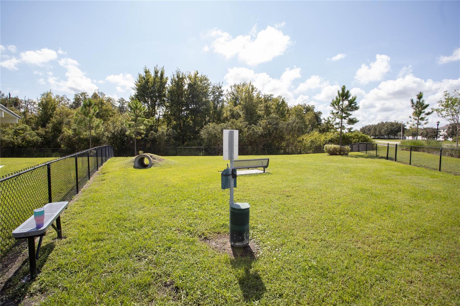 10179 GLIDING EAGLE WAY, LAND O LAKES, FL, 34638