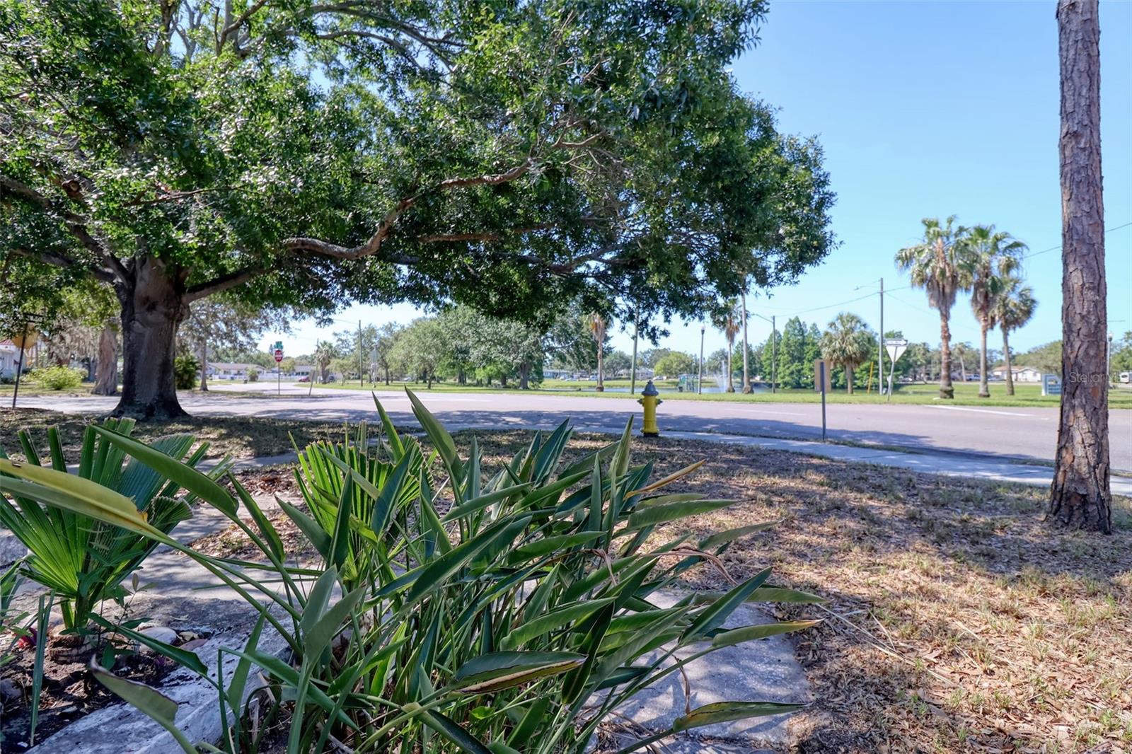 4845 25 AVE N, ST PETERSBURG, FL, 33713