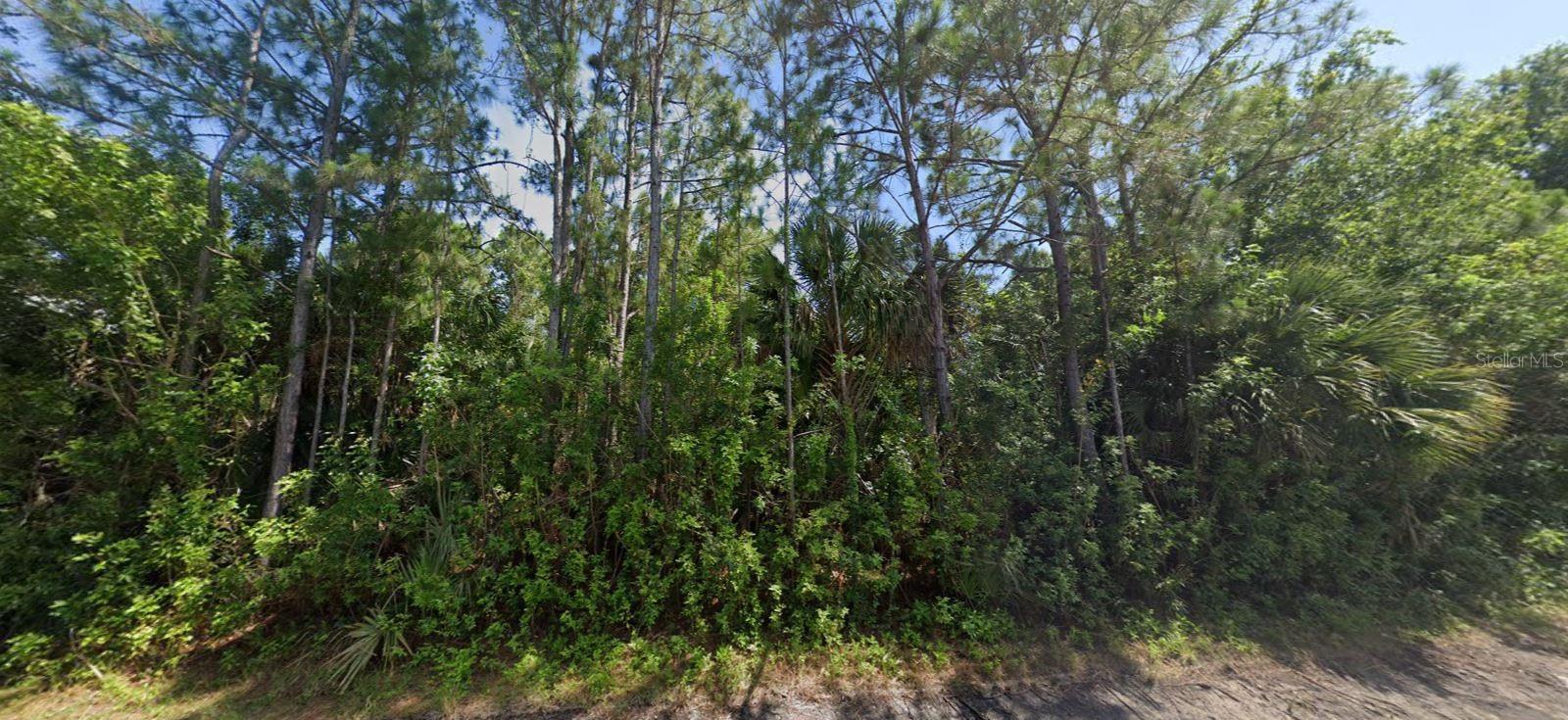 23125 HAMMOND AVE, PORT CHARLOTTE, FL, 33954