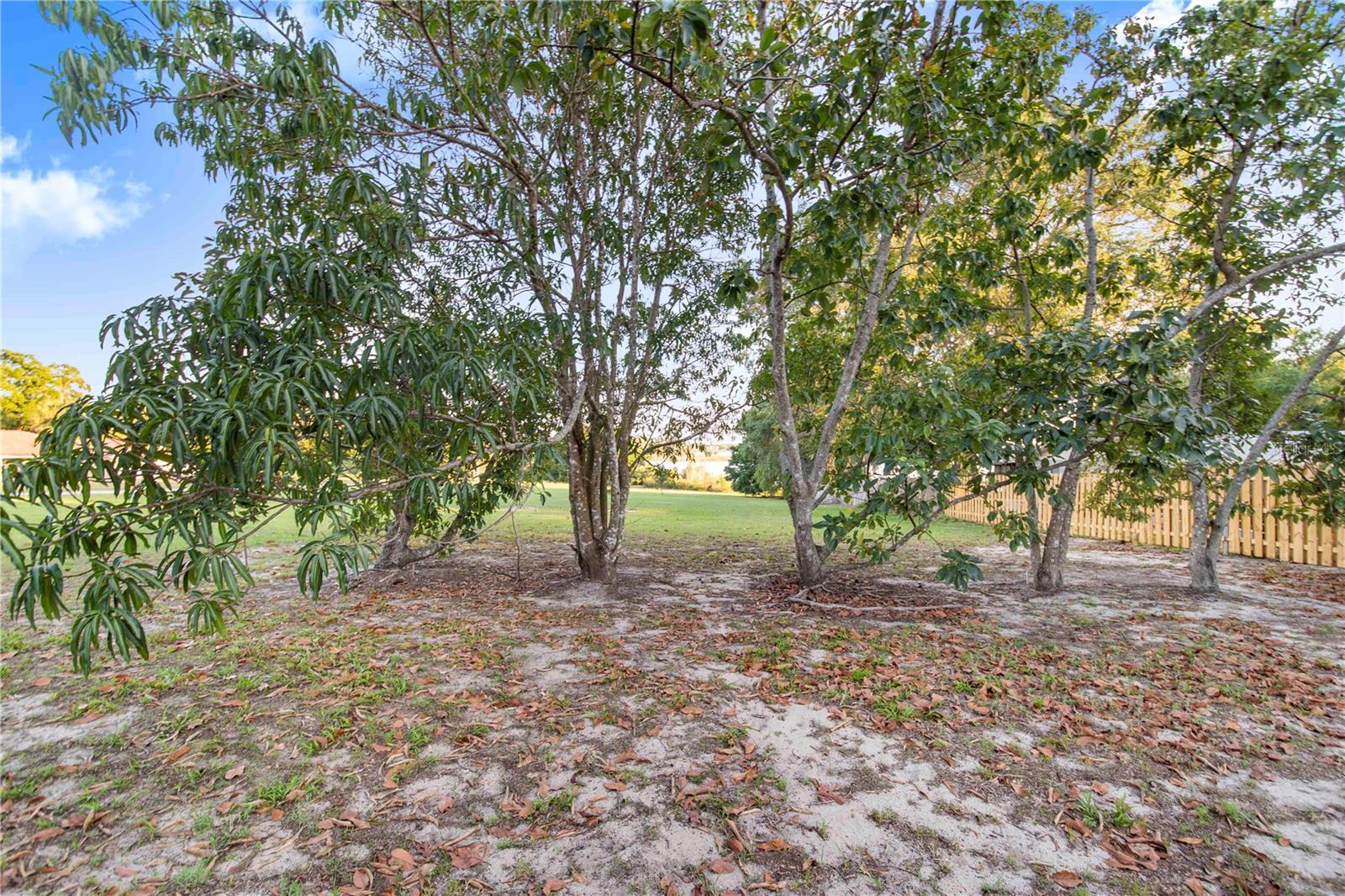 302 W GATES AVE, LAKE HAMILTON, FL, 33851