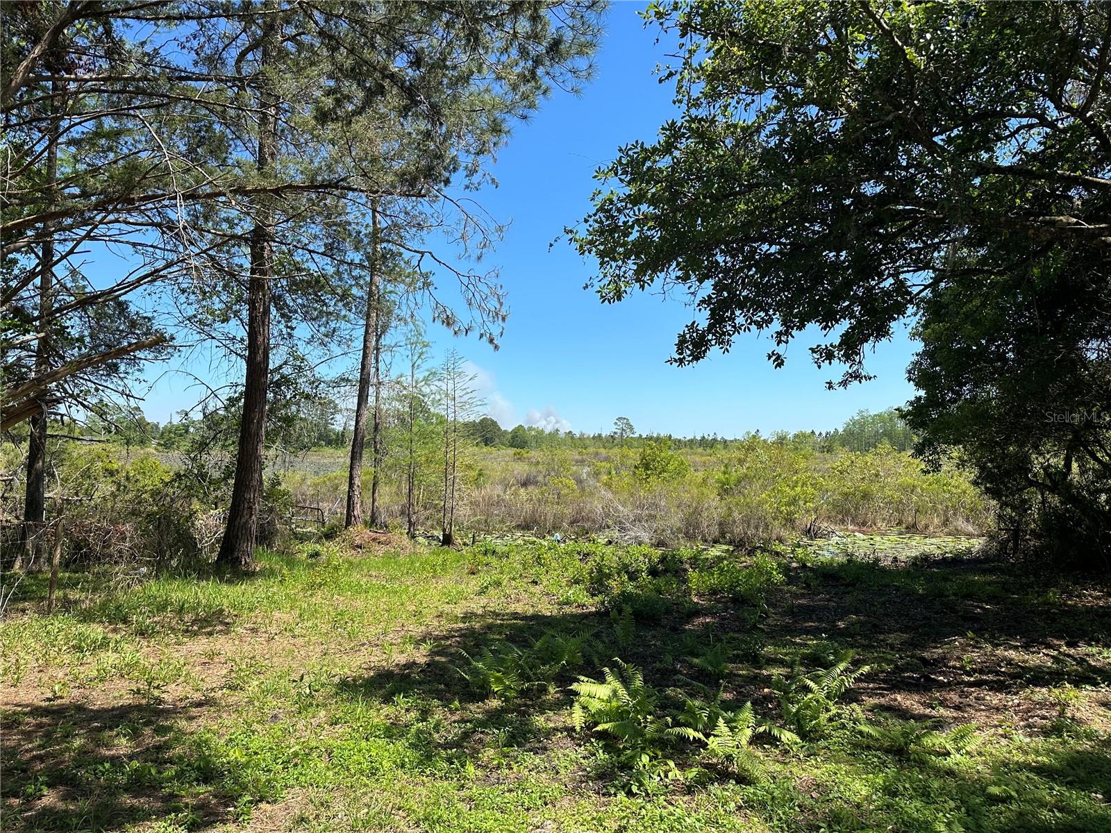 2520 PARK LAKE DR, DELAND, FL, 32724