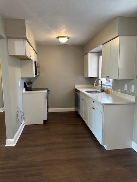 2520 PARK LAKE DR, DELAND, FL, 32724