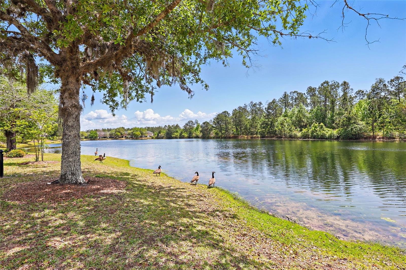 417 RUNNING WOODS ST, ORANGE PARK, FL, 32065