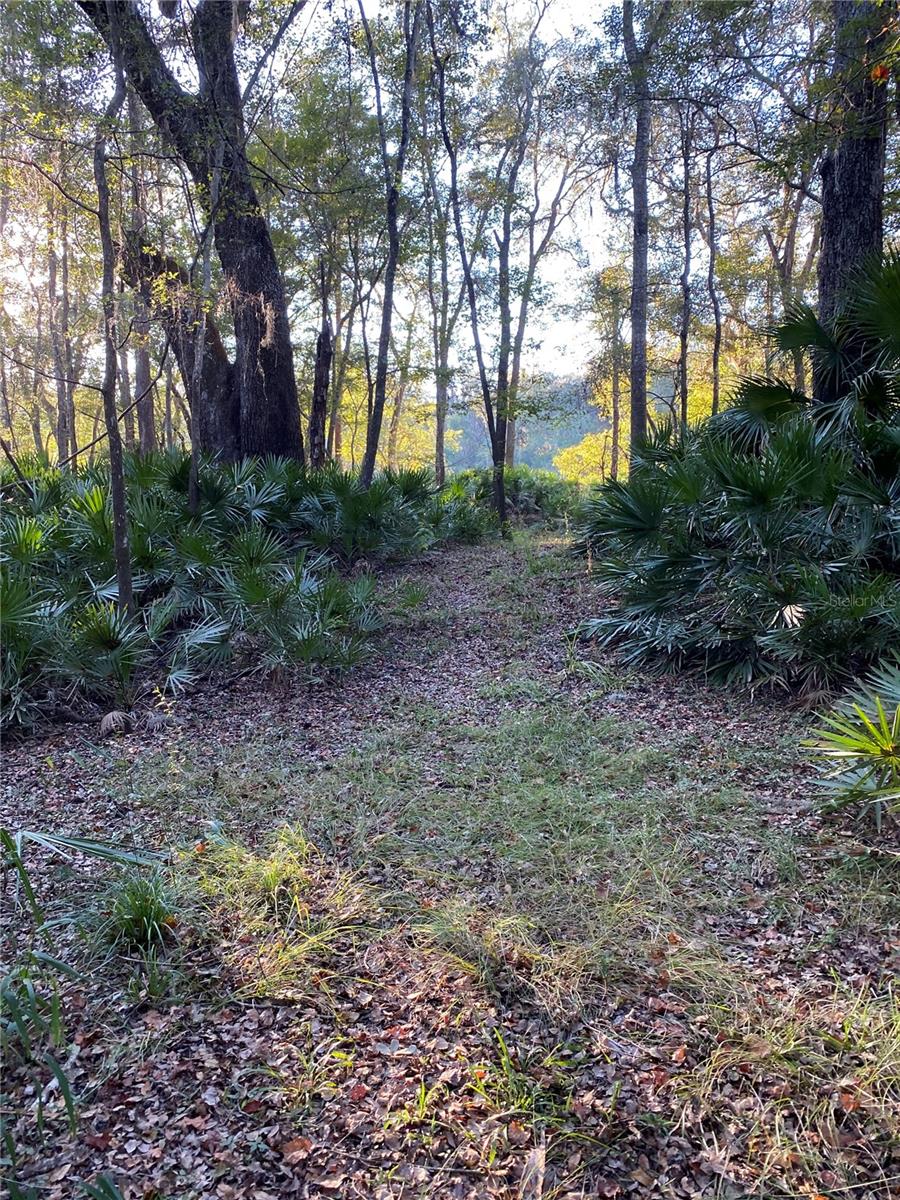 24042 114TH CIR, LIVE OAK, FL, 32060