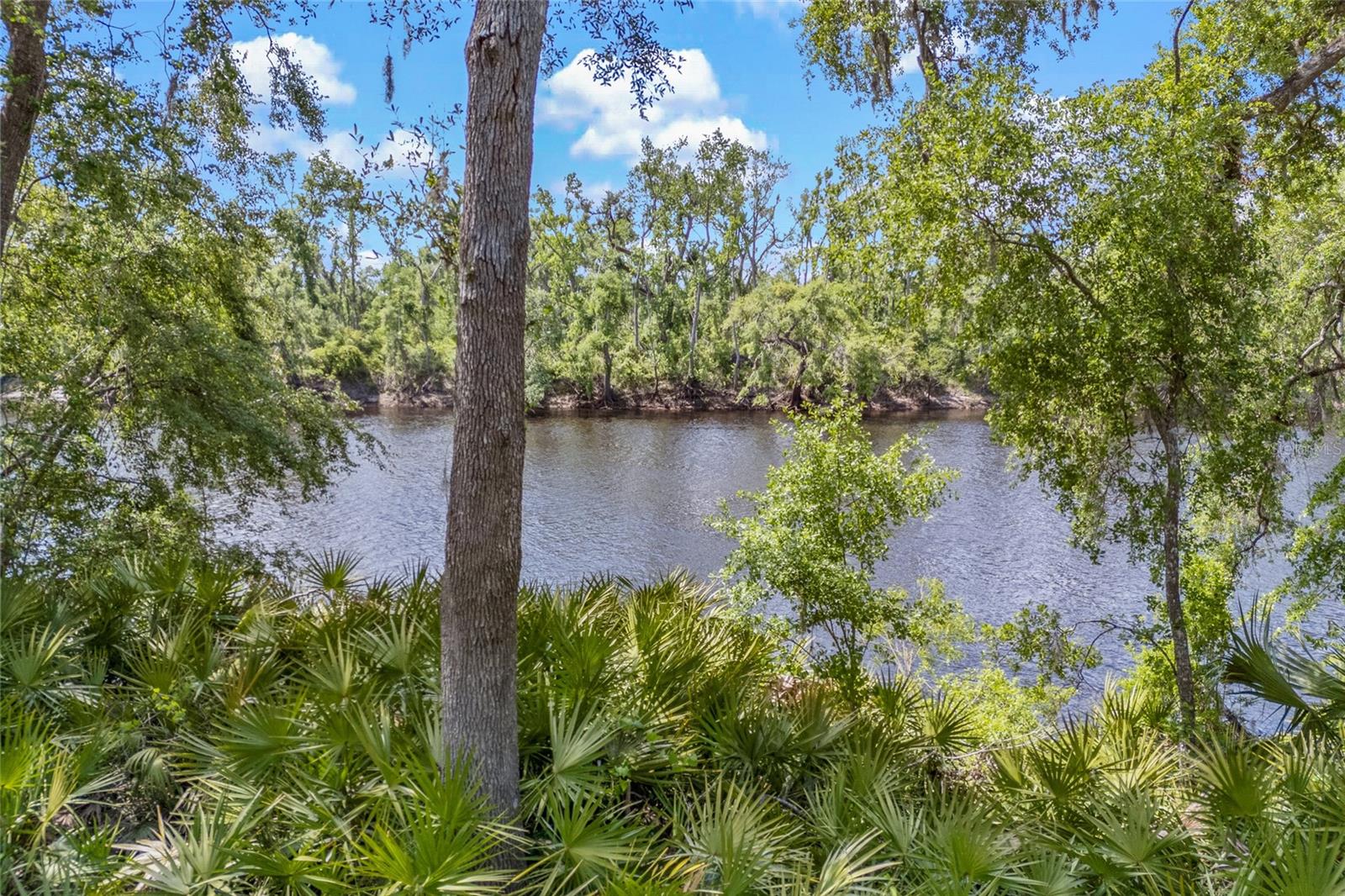 24042 114TH CIR, LIVE OAK, FL, 32060