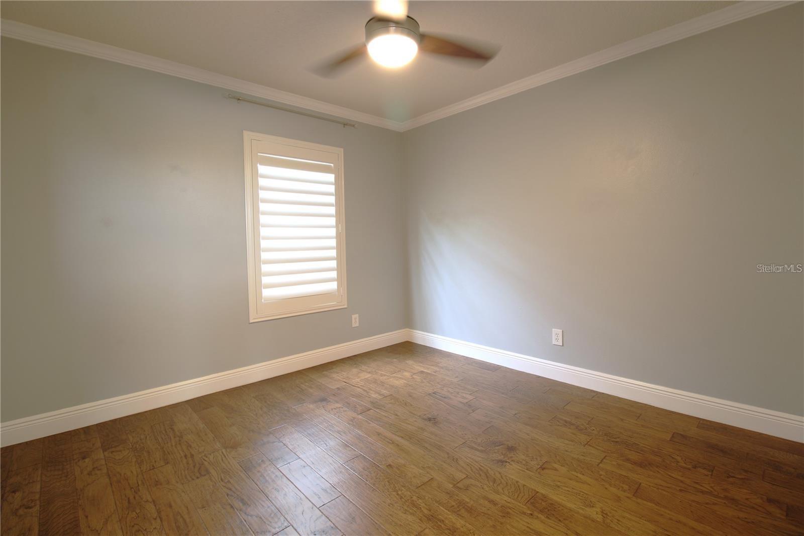 5439 KUMQUAT LOOP, WINDERMERE, FL, 34786