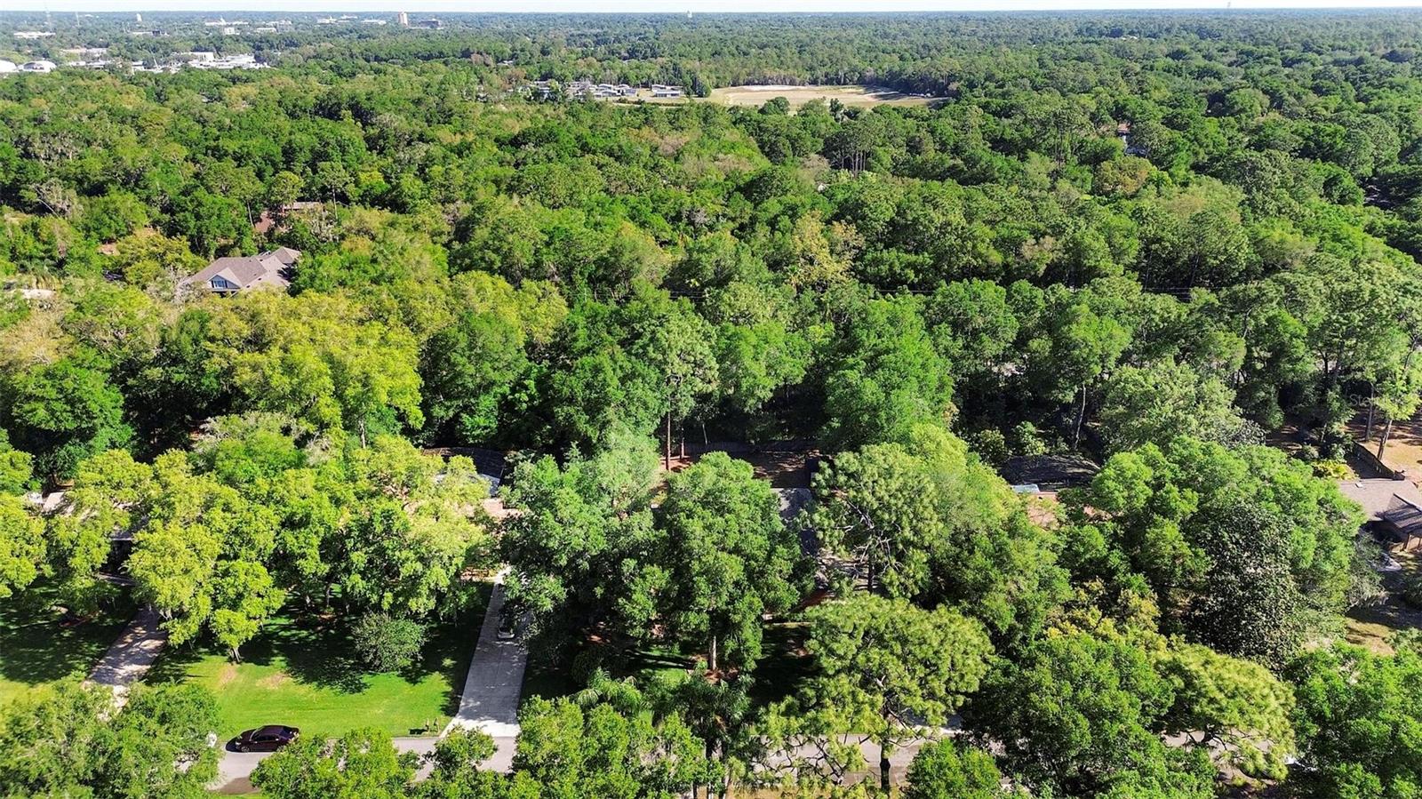 1081 TORCHWOOD DR, DELAND, FL, 32724