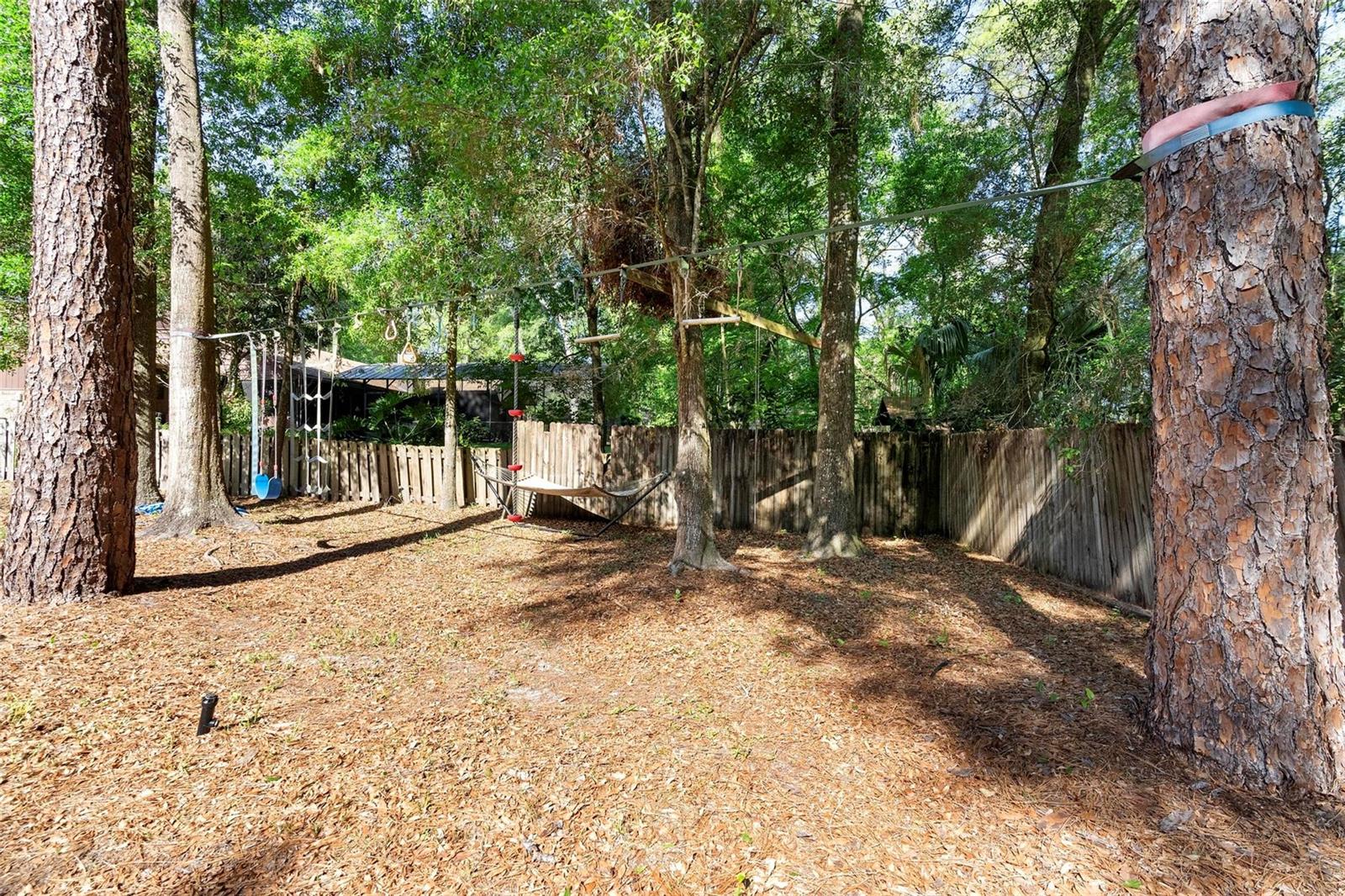 1081 TORCHWOOD DR, DELAND, FL, 32724