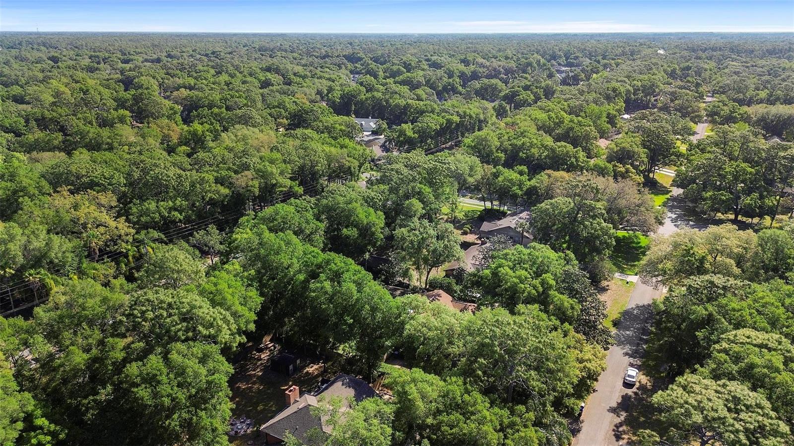 1081 TORCHWOOD DR, DELAND, FL, 32724