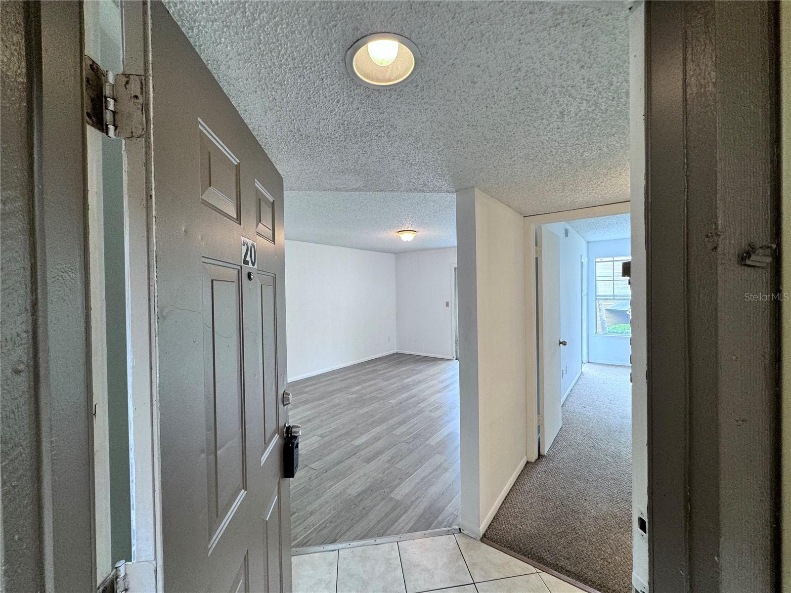 1908 LAKE ATRIUMS CIR #20, ORLANDO, FL, 32839