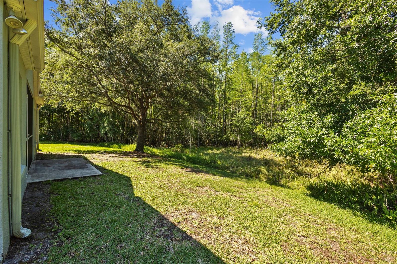 26306 WHIRLAWAY TER, WESLEY CHAPEL, FL, 33544